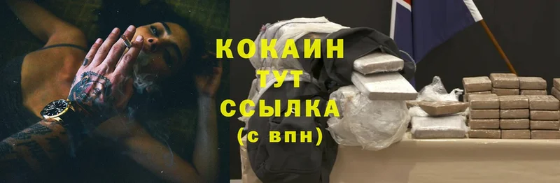 Cocaine Fish Scale  сколько стоит  Буйнакск 